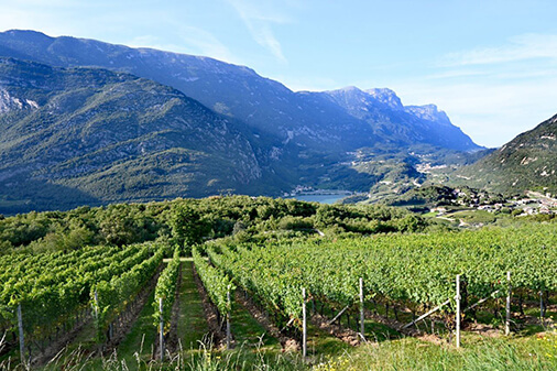 lake vineyards mountains toblino